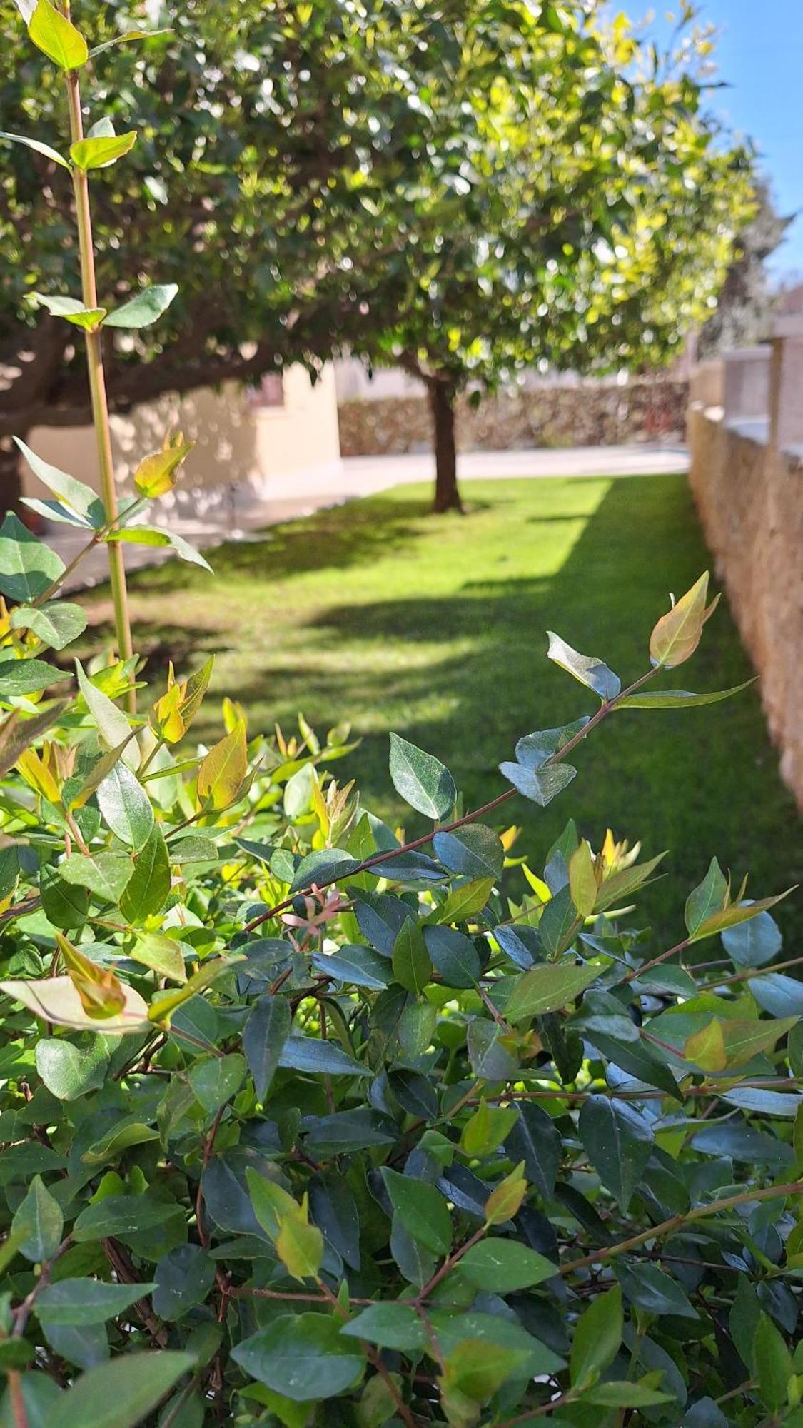 Antares Apartments Cavtat Exterior foto